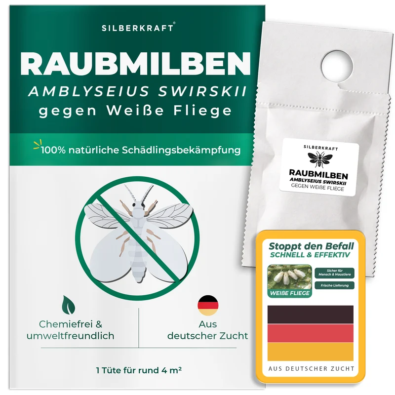 Raubmilben gegen Weiße Fliege (Amblyseius swirskii)