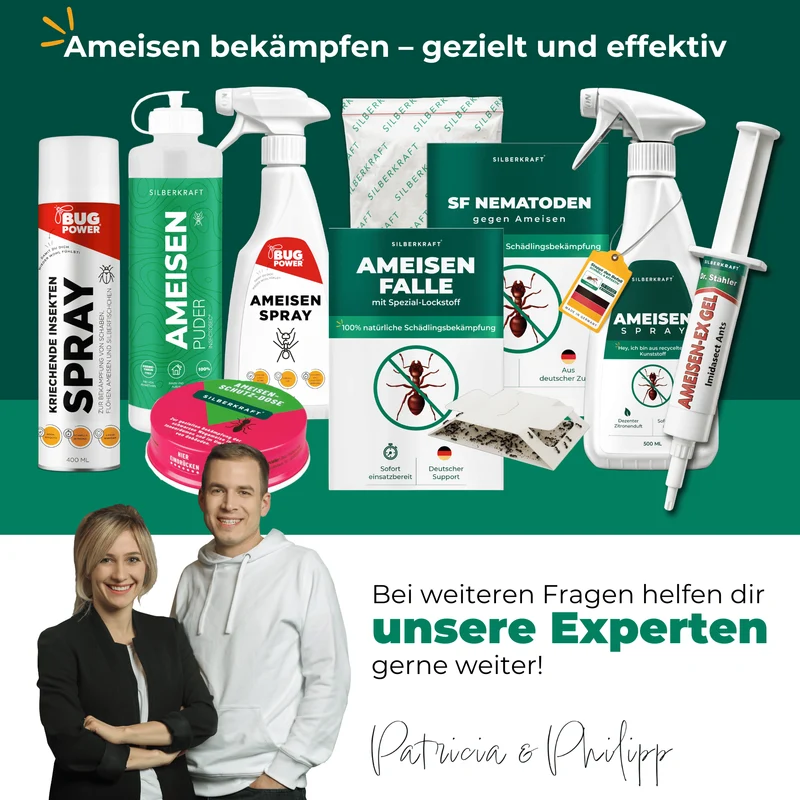 finicon Avantgarde Ameisenködergel: Profi-Köder gegen Ameisen – auch für Küchen & Lebensmittelbereiche