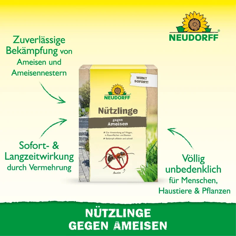 Nützlinge gegen Ameisen