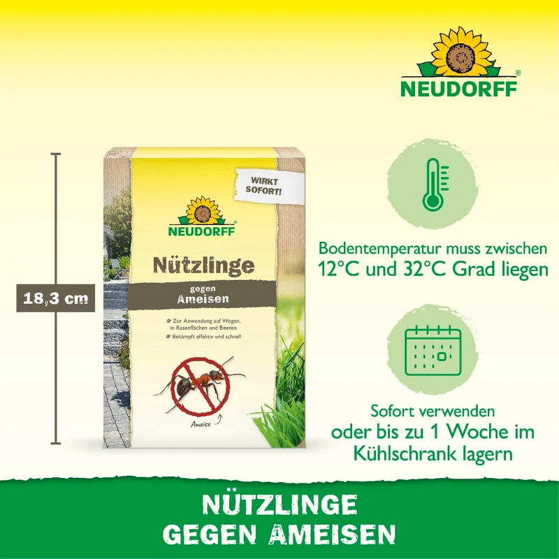 Nützlinge gegen Ameisen