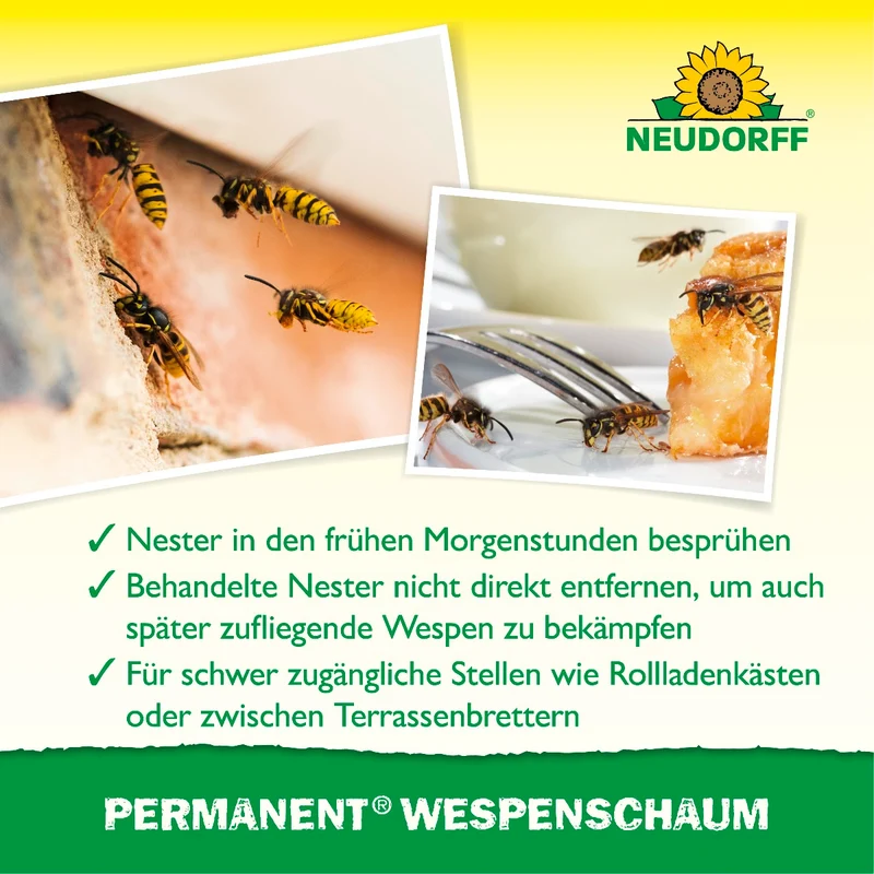 Permanent WespenSchaum