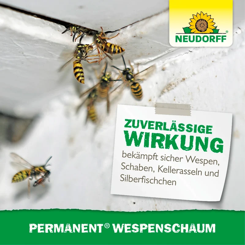 Permanent WespenSchaum