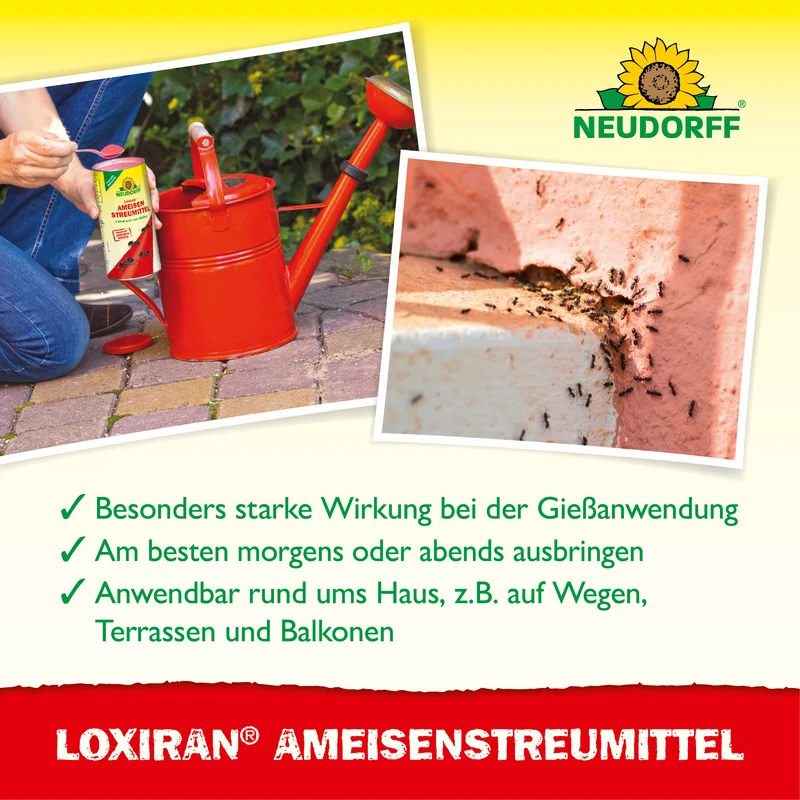 Loxiran AmeisenStreumittel