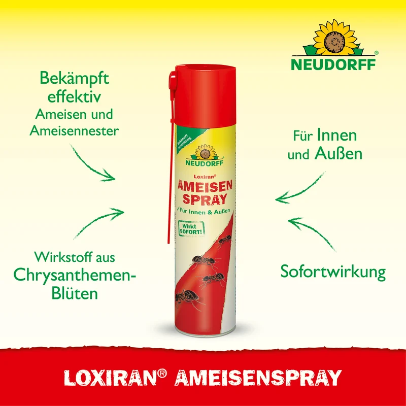 Loxiran AmeisenSpray