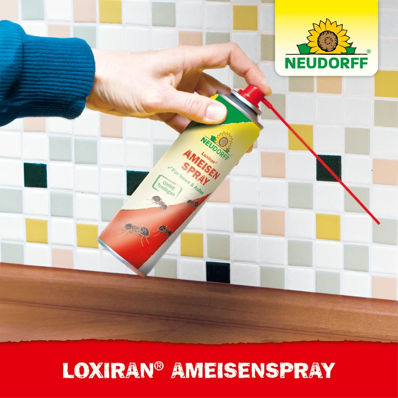 Loxiran AmeisenSpray