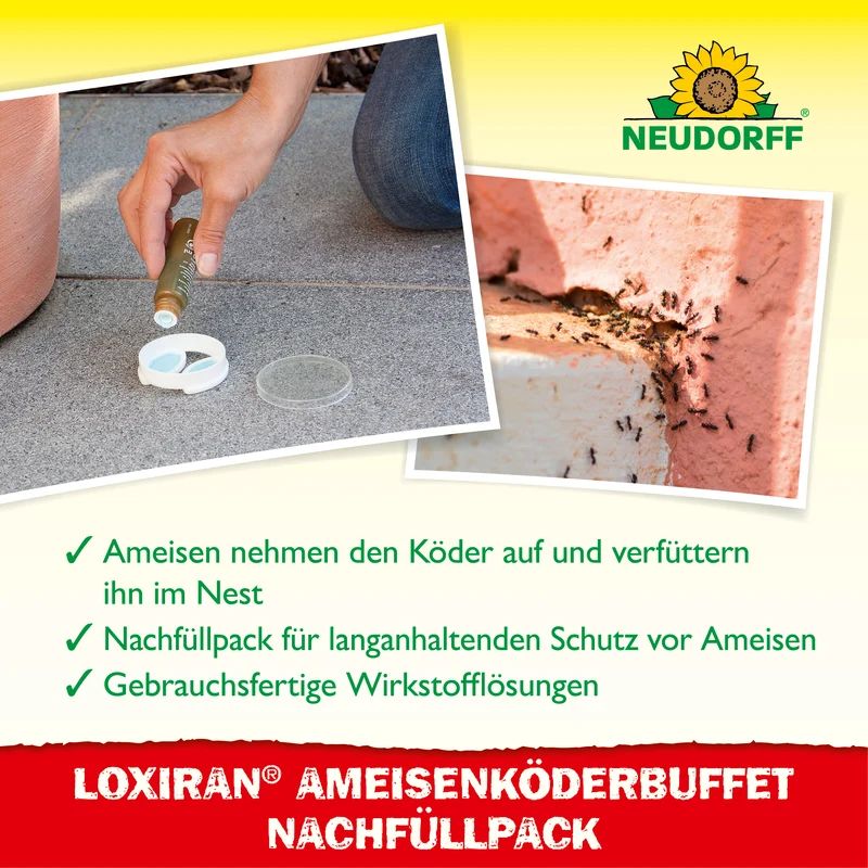 Loxiran Ameisenköderbuffet Nachfüllpack