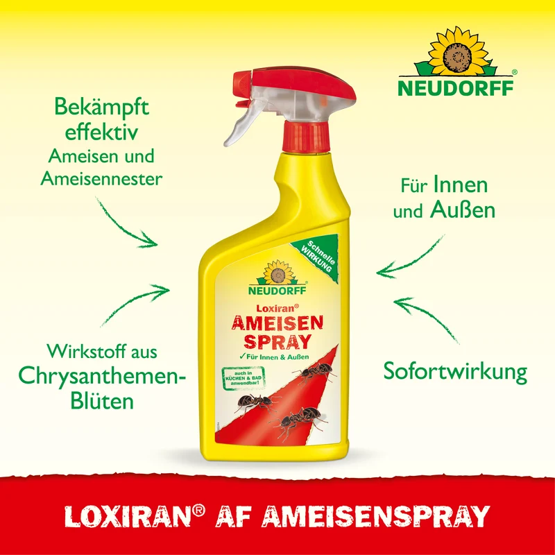 Loxiran AF AmeisenSpray