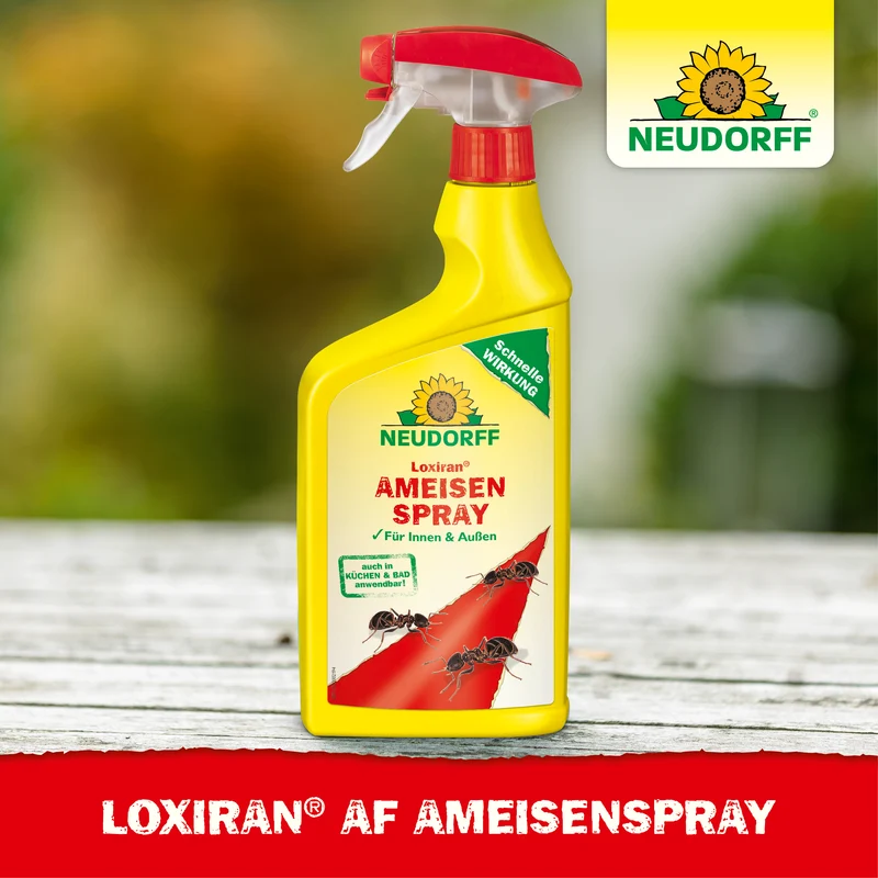 Loxiran AF AmeisenSpray