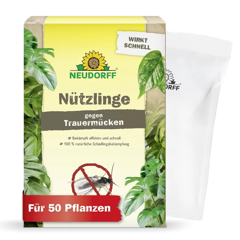 Nützlinge gegen Trauermücken