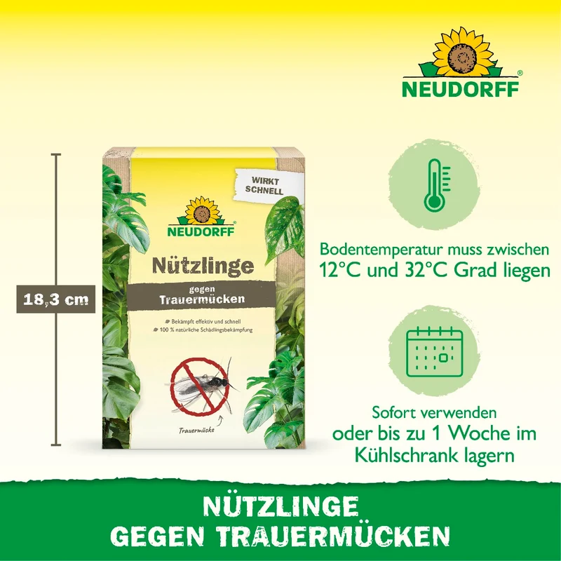 Nützlinge gegen Trauermücken