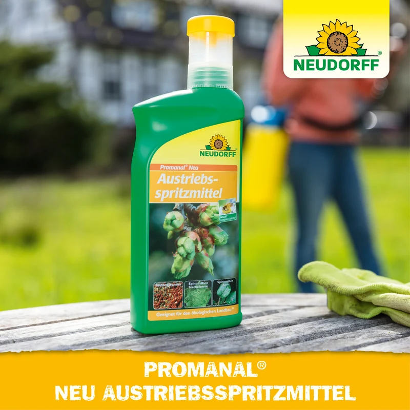 Promanal Neu Austriebsspritzmittel