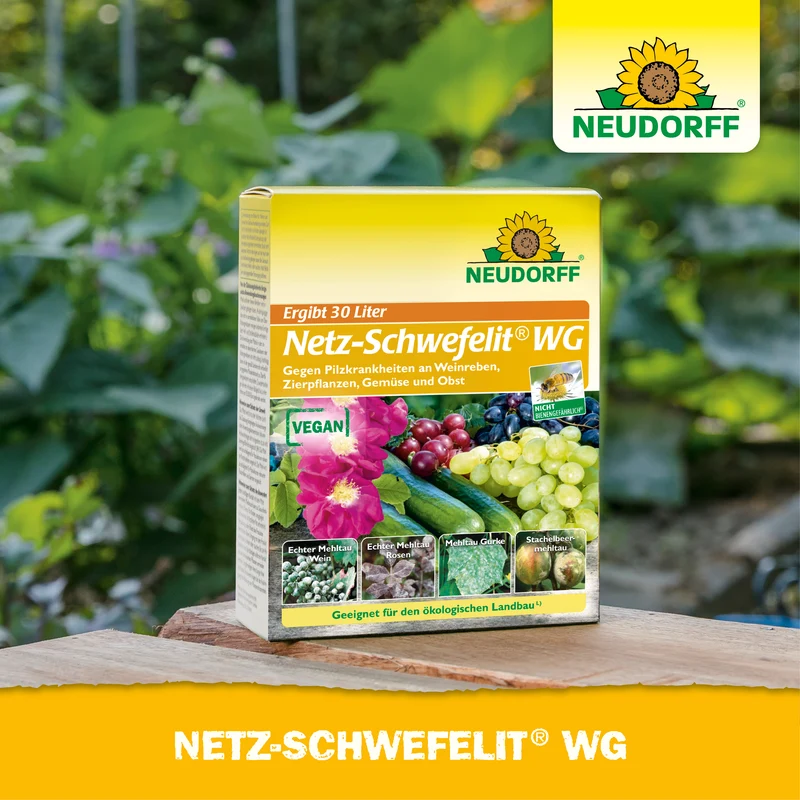 Netz-Schwefelit WG