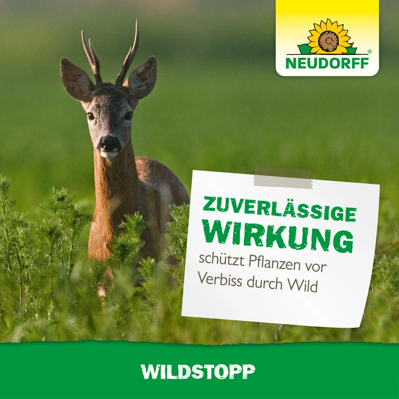 WildStopp