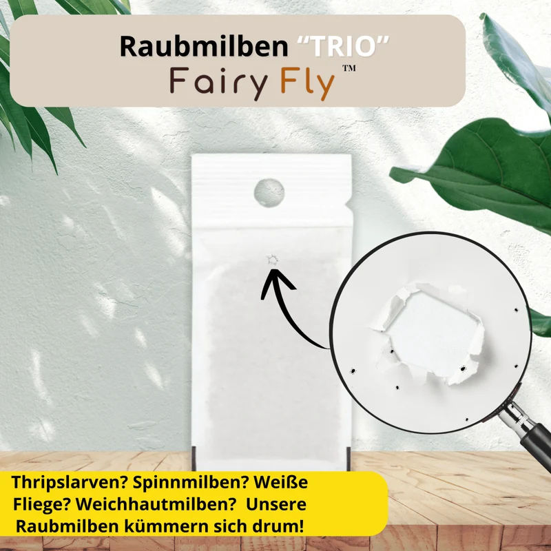 Raubmilben TRIO gegen Thripse, Spinnmilben, & Weiße Fliegen - Californicus, Cucumeris & Swirskii - 3 - 30 Tüten - Nützlinge aus deutscher Zucht