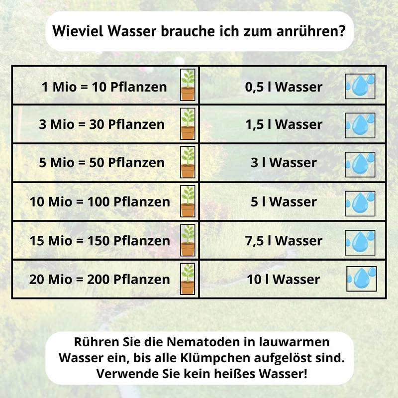 SF Nematoden gegen Trauermücken - 1 - 25 Mio / 2 - 50 m² / 10 - 250 Pflanzen