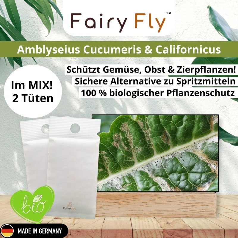Raubmilben Mix gegen Thripse & Spinnmilben – Cucumeris & Californicus – Nützlinge für Zimmerpflanzen & Gewächshaus