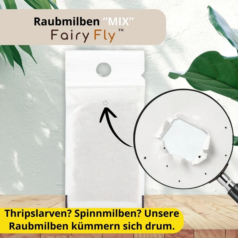 Raubmilben Mix gegen Thripse & Spinnmilben – Cucumeris & Californicus – Nützlinge für Zimmerpflanzen & Gewächshaus