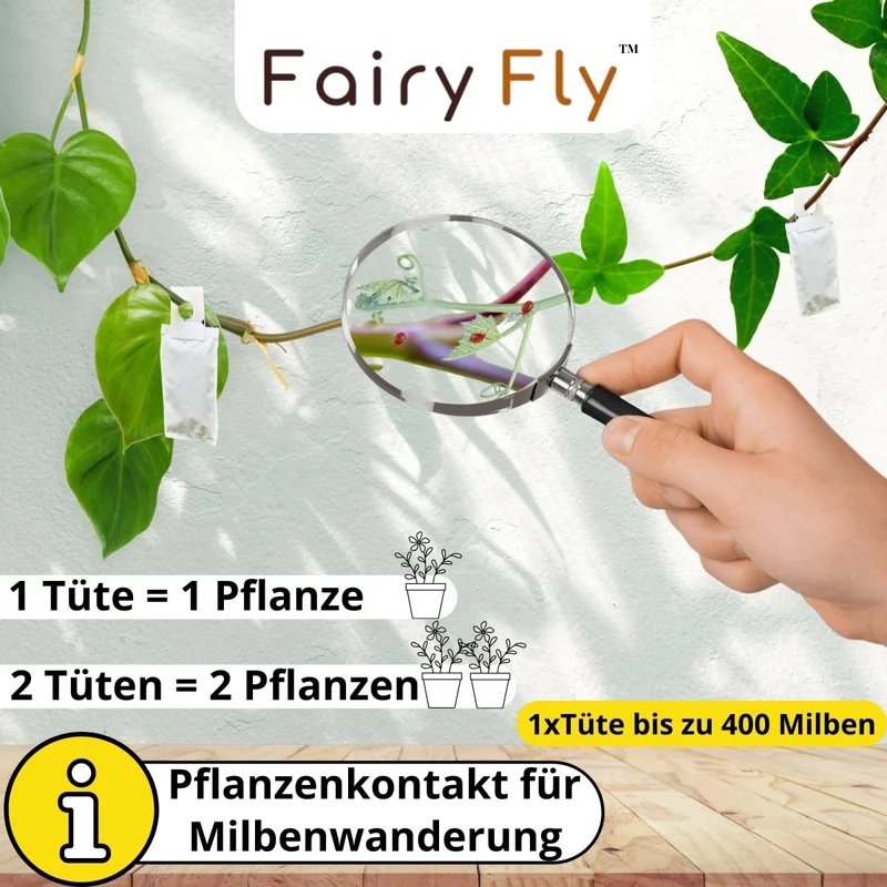 Raubmilben Mix gegen Thripse & Spinnmilben – Cucumeris & Californicus – Nützlinge für Zimmerpflanzen & Gewächshaus