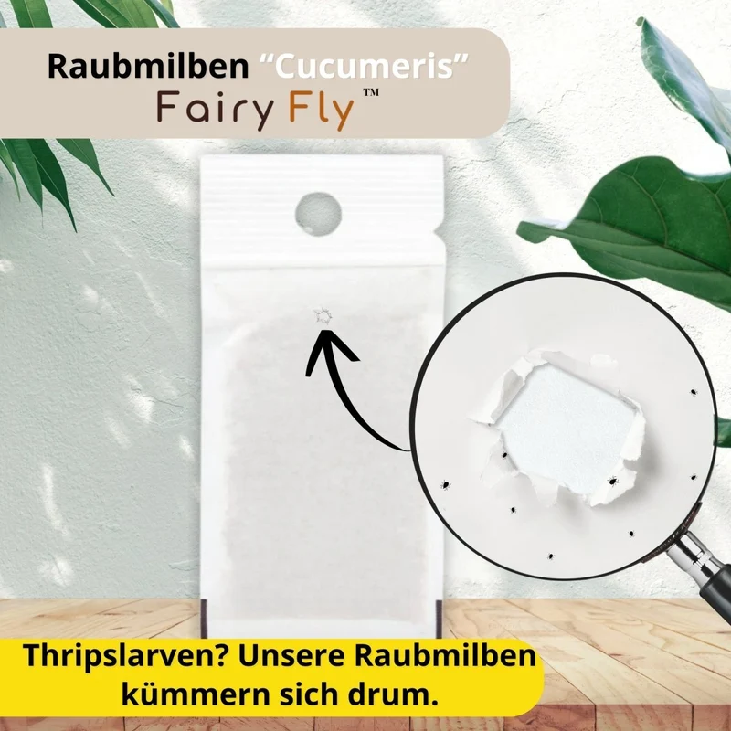 Raubmilben Cucumeris gegen Thripse - Zierpflanzen, Gemüse & Cannabis - 1 - 50 Tüten aus deutscher Zucht