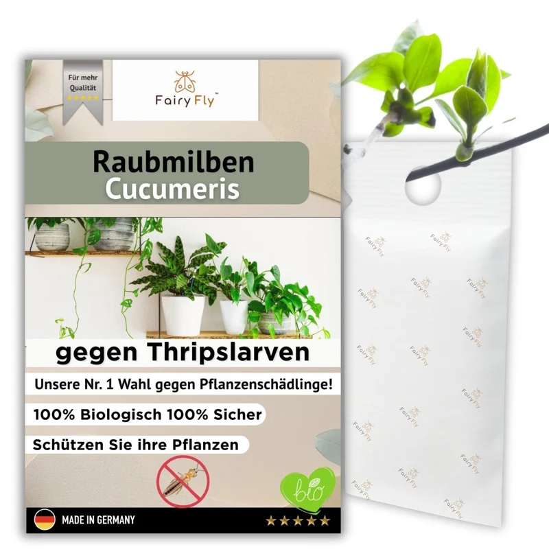 Raubmilben Cucumeris gegen Thripse - Zierpflanzen, Gemüse & Cannabis - 1 - 50 Tüten aus deutscher Zucht