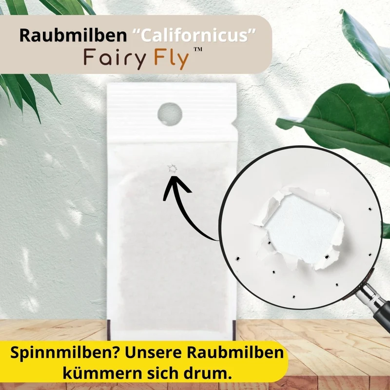 Raubmilben gegen Spinnmilben – Zimmerpflanzen, Zierpflanzen, Gemüse & Cannabis - 1 - 50 Tüten