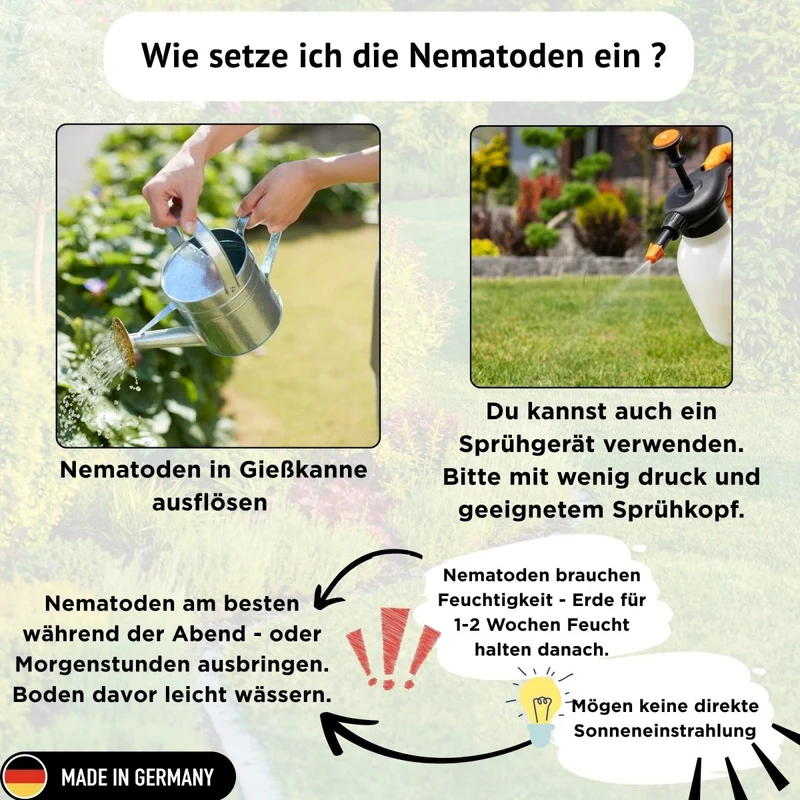 HB Nematoden gegen Dickmaulrüssler & Engerlinge - 5 - 250 Mio / 10 - 500 m² - zum Gießen