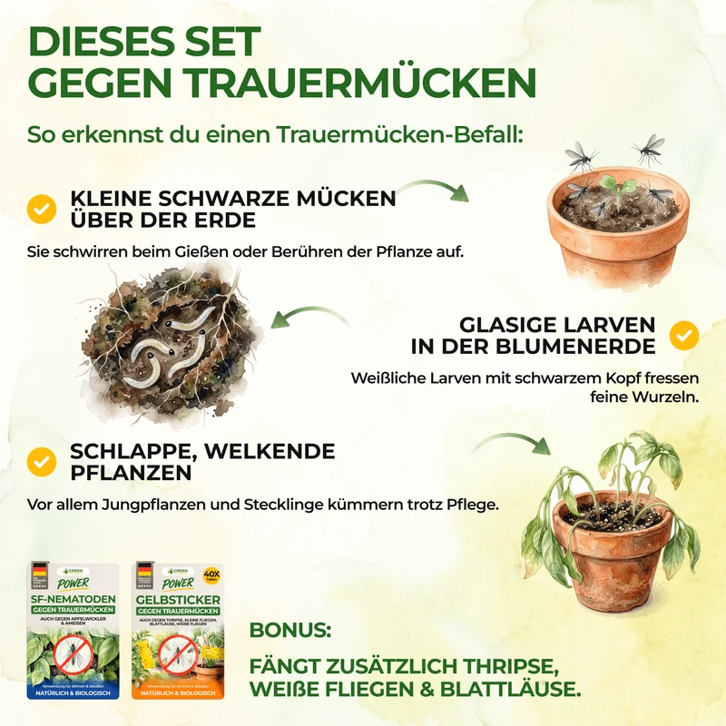 Trauermücken-Frei Set