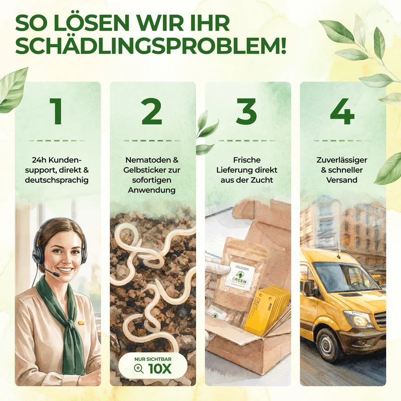 Trauermücken-Frei Set