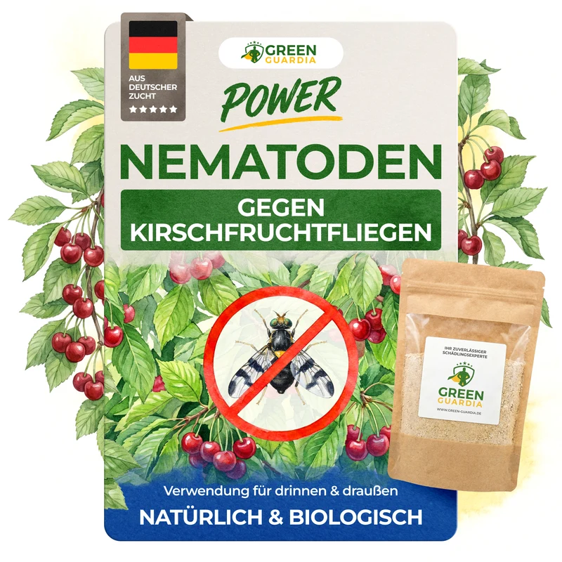 Nématodes contre la mouche de la cerise