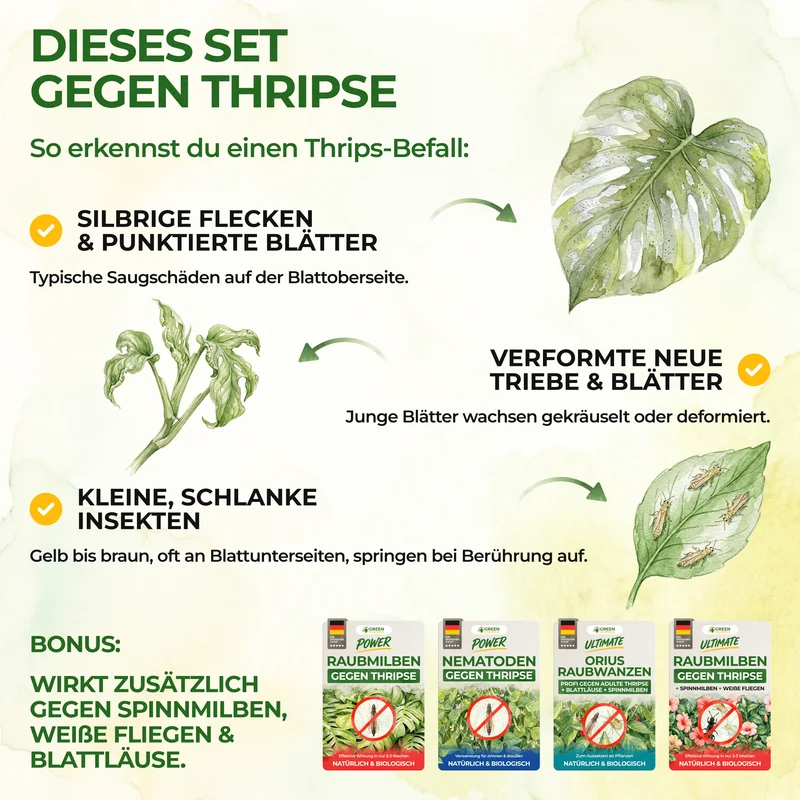 Thripse-Frei Bundle zur Soforthilfe