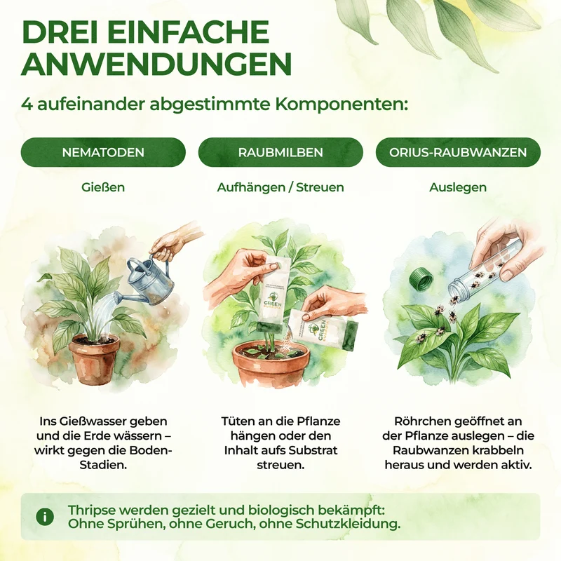 Thripse-Frei Bundle zur Soforthilfe