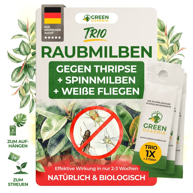 Raubmilben Trio gegen Thripse, Spinnmilben & Weiße Fliegen