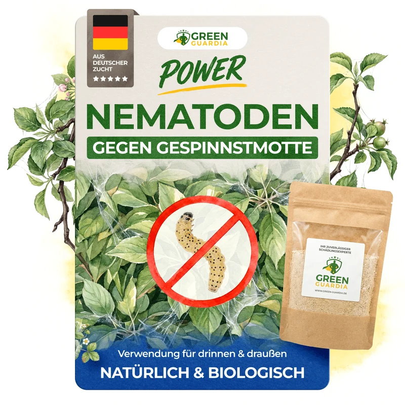 Nematoden gegen Gespinstmotten