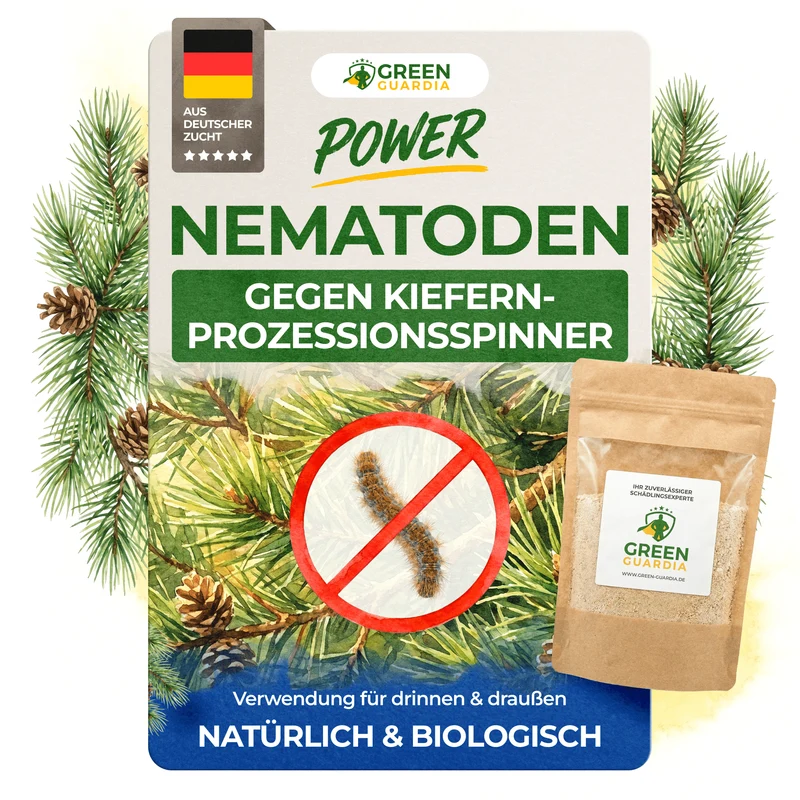 Nematoden gegen Kiefernprozessionsspinner