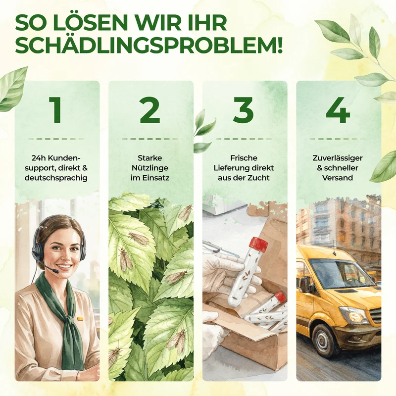 Braune Florfliegen gegen Blattläuse, Thripse, Spinnmilben und Co.