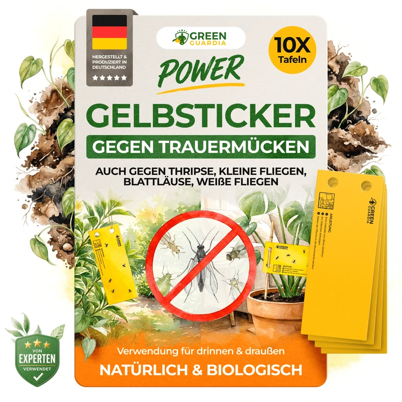 Gelbsticker gegen Trauermücken, Thripse & anderen Fluginsekten