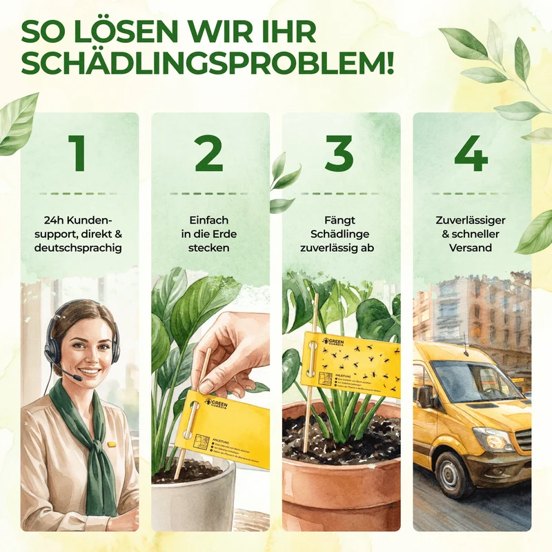 Gelbsticker gegen Trauermücken, Thripse & anderen Fluginsekten