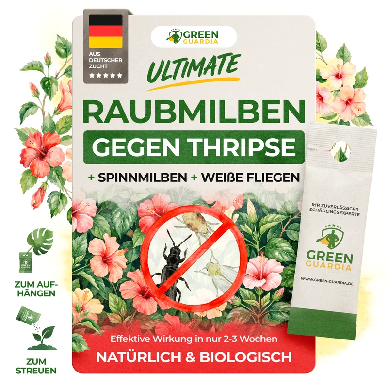 Acariens prédateurs ultimes contre les thrips, les acariens et les aleurodes