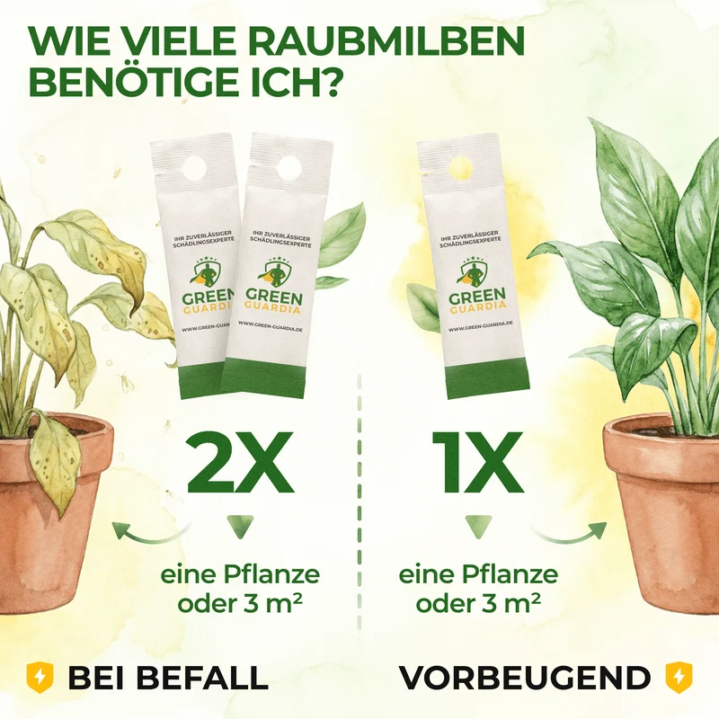 Acariens prédateurs ultimes contre les thrips, les acariens et les aleurodes