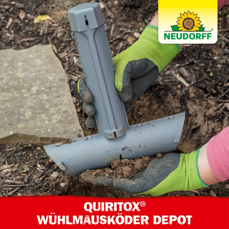 Quiritox WühlmausKöder Depot