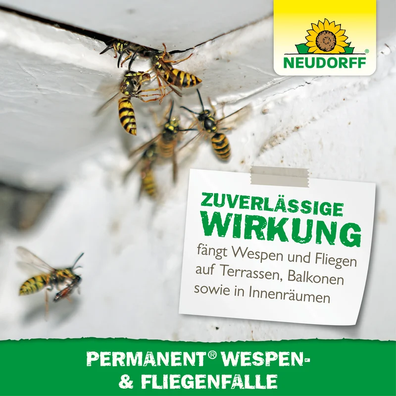 Permanent Wespen- und Fliegenfalle