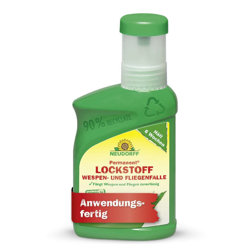 Permanent Lockstoff Wespen- und Fliegenfalle