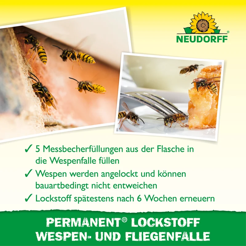 Permanent Lockstoff Wespen- und Fliegenfalle