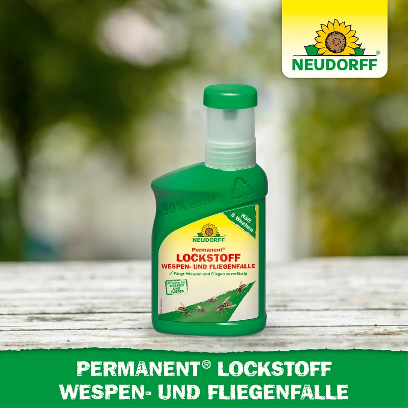 Permanent Lockstoff Wespen- und Fliegenfalle