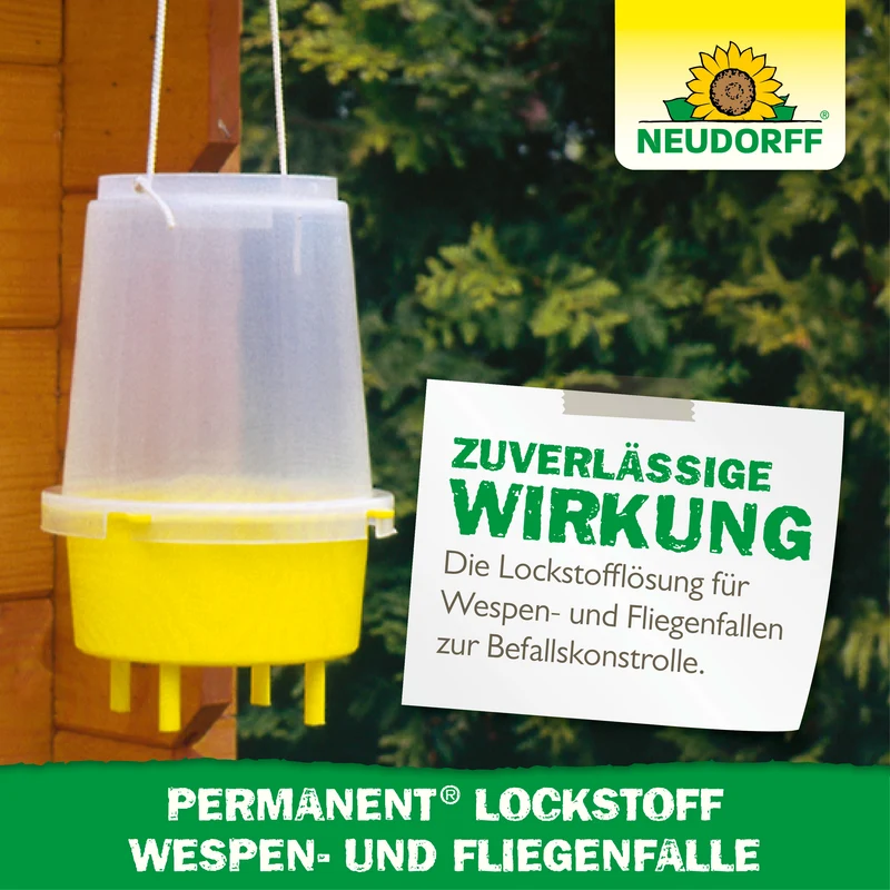 Permanent Lockstoff Wespen- und Fliegenfalle