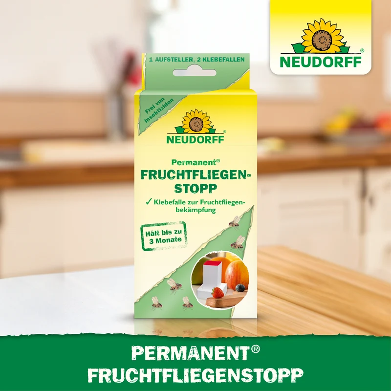 Permanent FruchtfliegenStopp