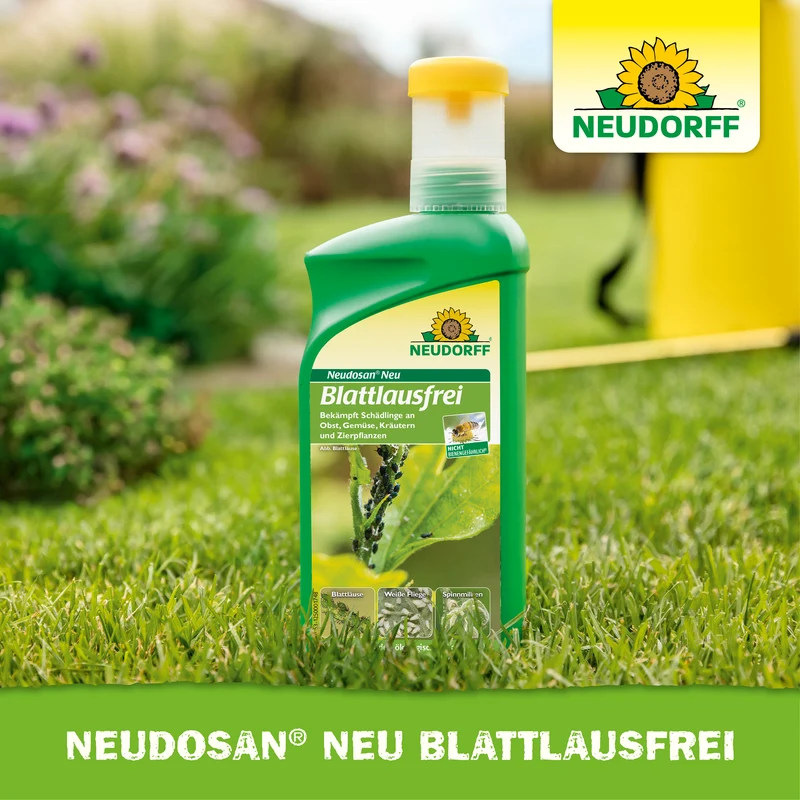 Neudosan Neu Blattlausfrei
