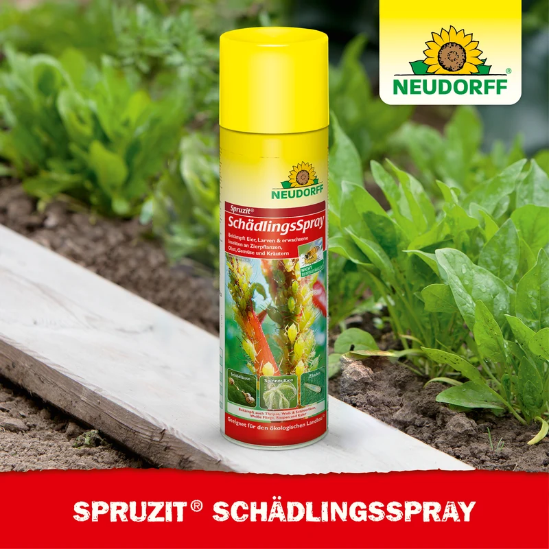 Spruzit SchädlingsSpray