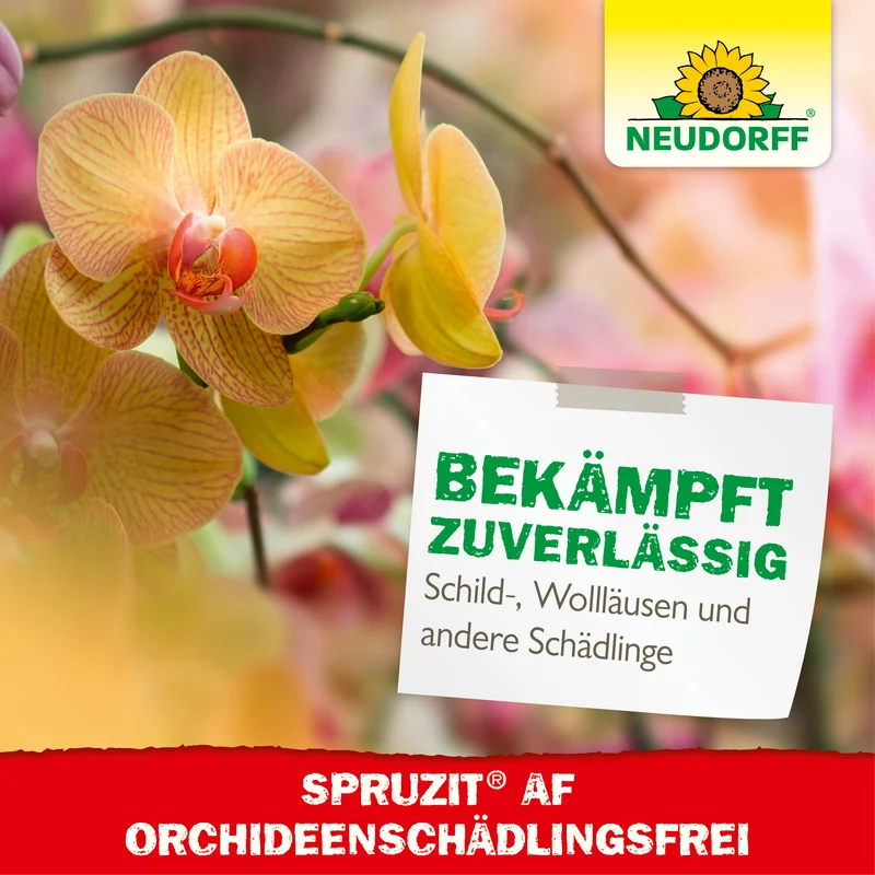 Spruzit AF Orchideen SchädlingsFrei