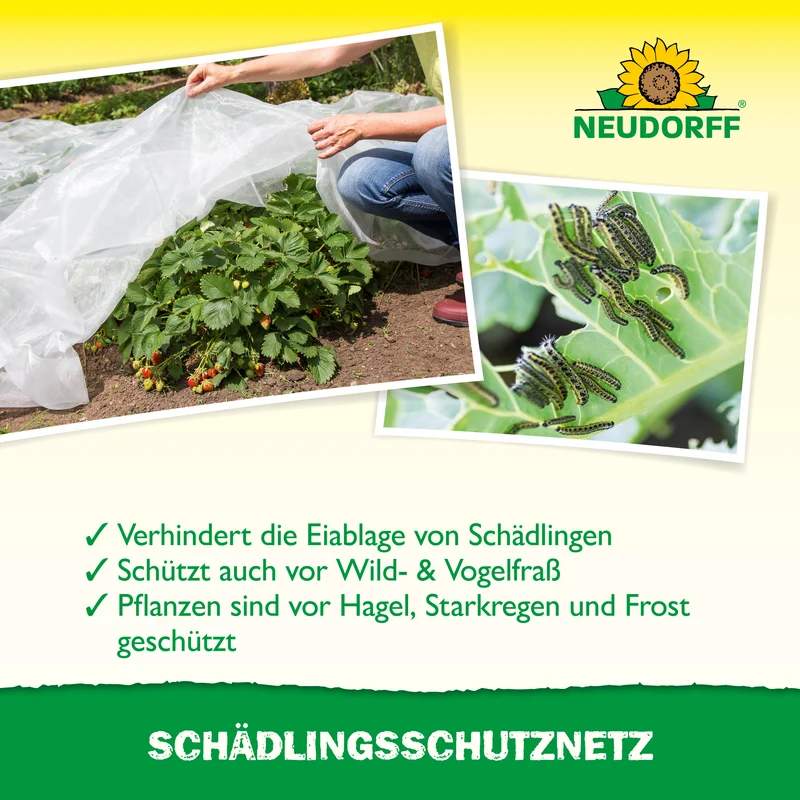 SchädlingsschutzNetz